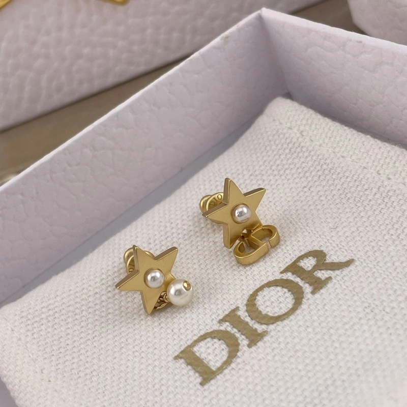 Compact Christian Dior Earrings 232800