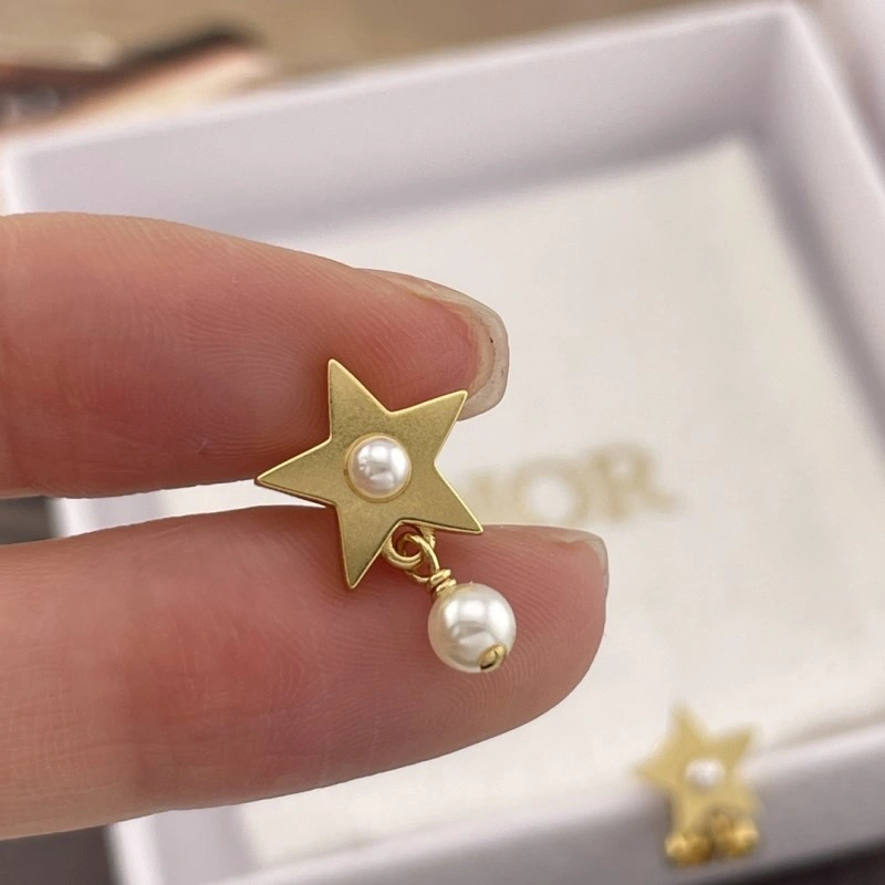 Compact Christian Dior Earrings 232800