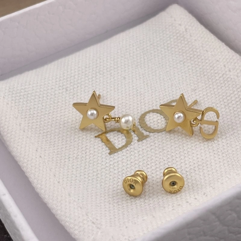 Compact Christian Dior Earrings 232800