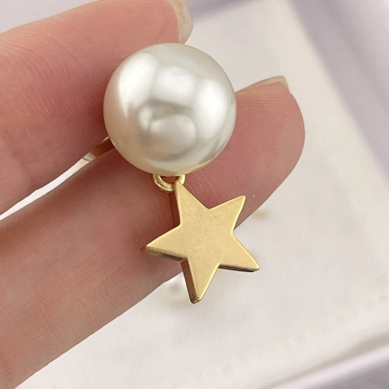 Christian Dior Earrings Fashionable 232766