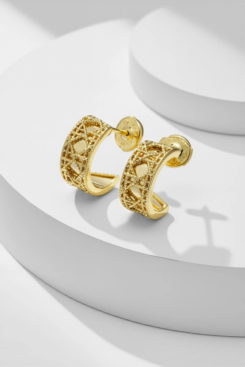 Christian Dior Earrings FastDry 232821