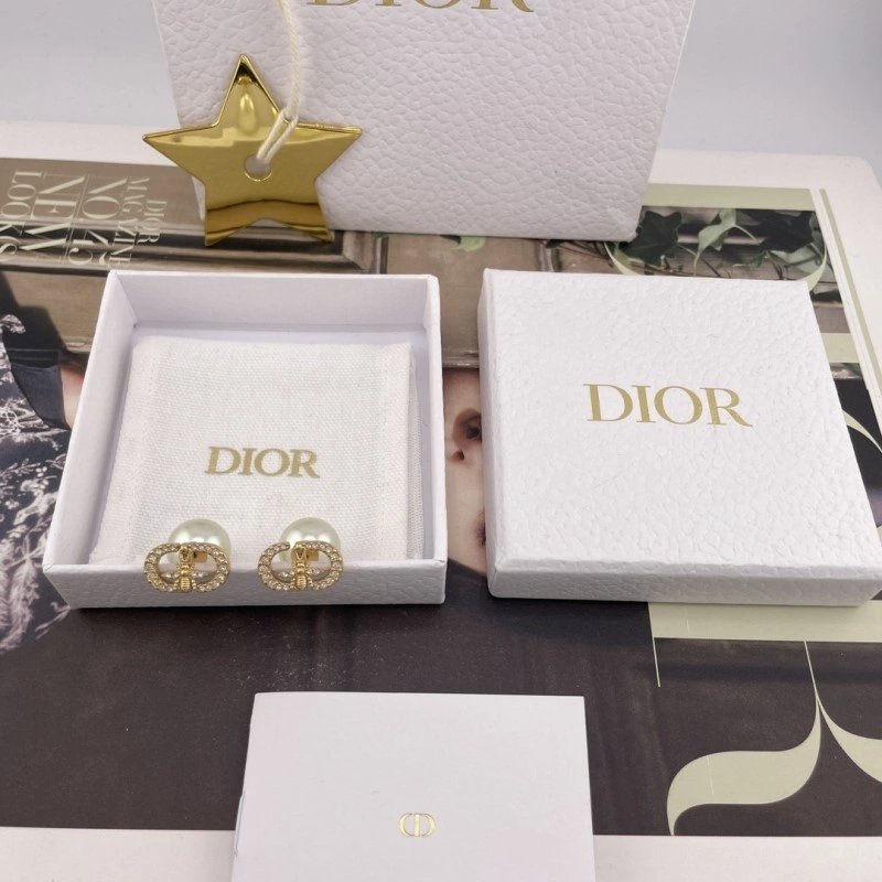 Compact Christian Dior Earrings 232759