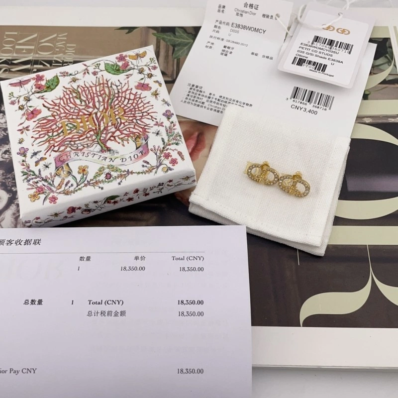 Durable Christian Dior Earrings 232834