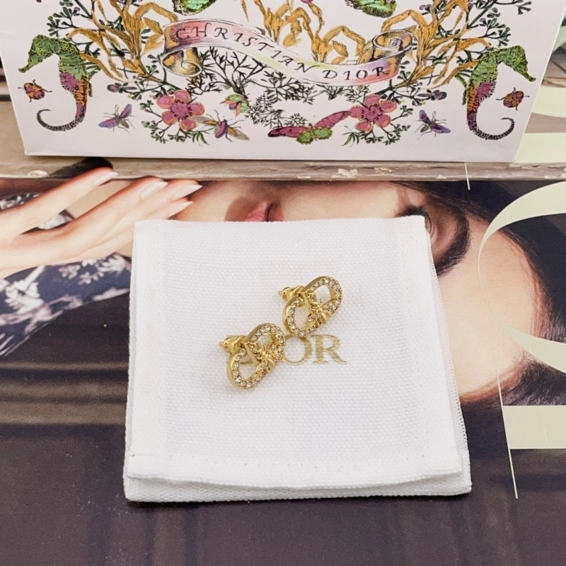 Durable Christian Dior Earrings 232834