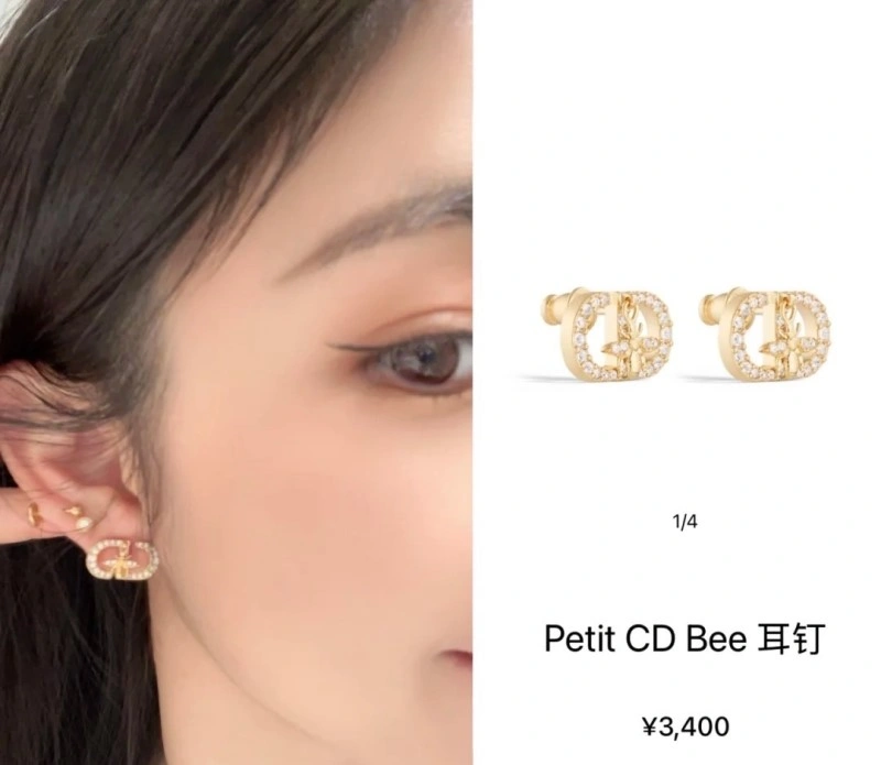 Durable Christian Dior Earrings 232834