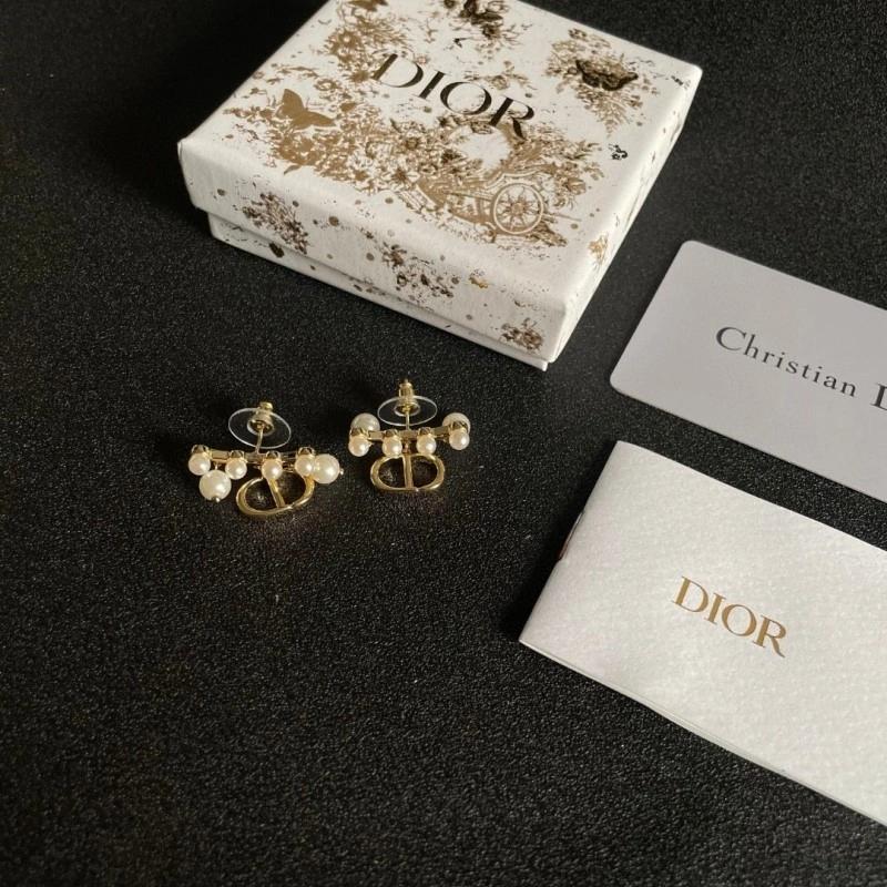Casual Christian Dior Earrings 232753