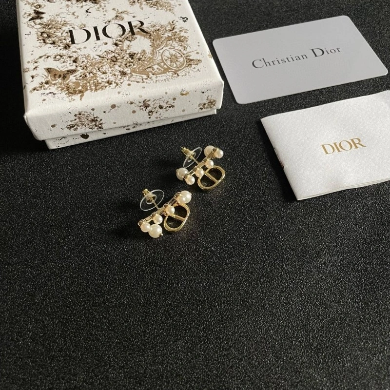 Casual Christian Dior Earrings 232753