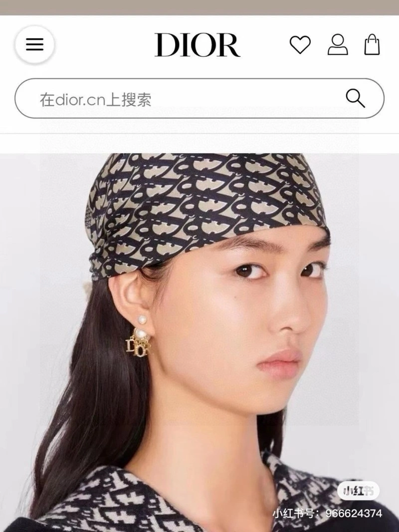 Classic Christian Dior Earrings 232737