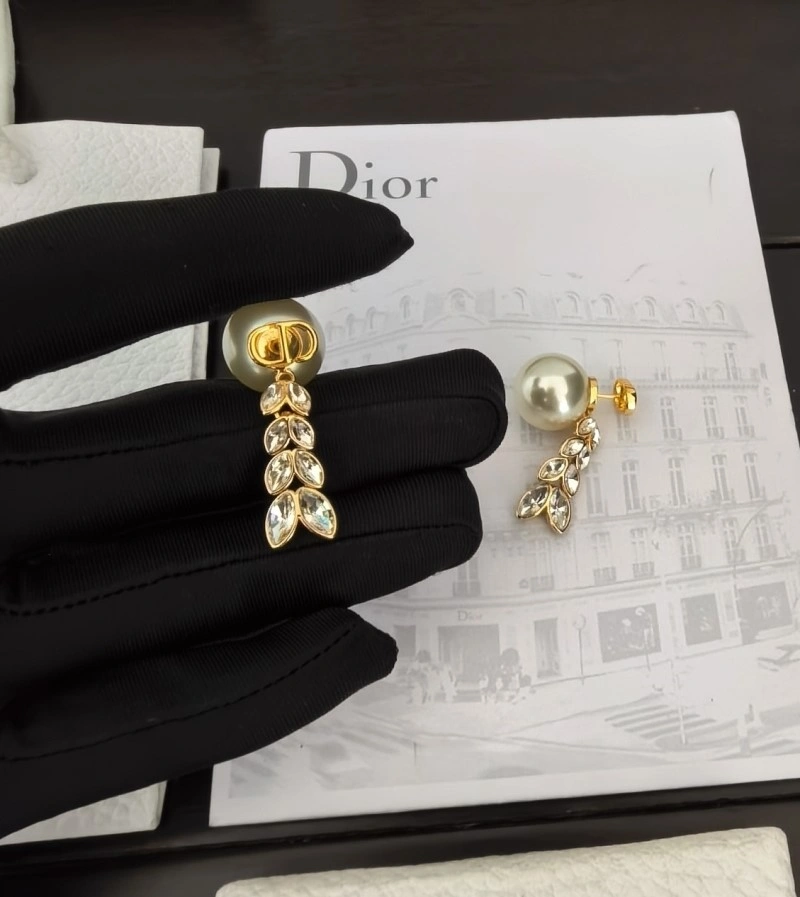 Christian Dior Earrings SmoothTexture 232762