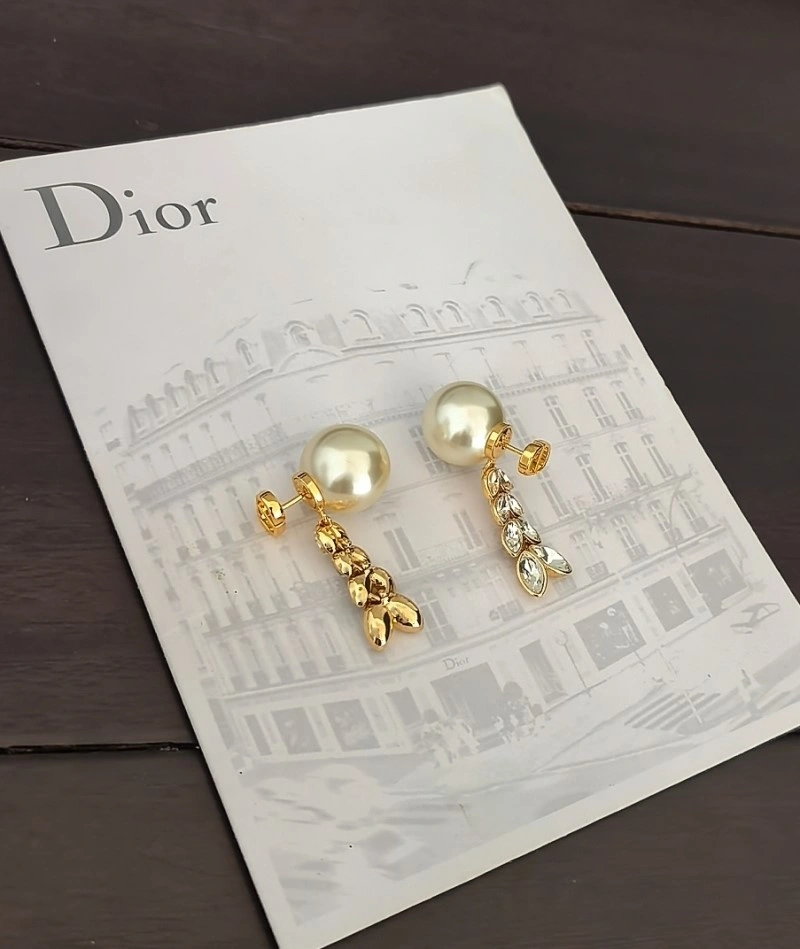 Christian Dior Earrings SmoothTexture 232762