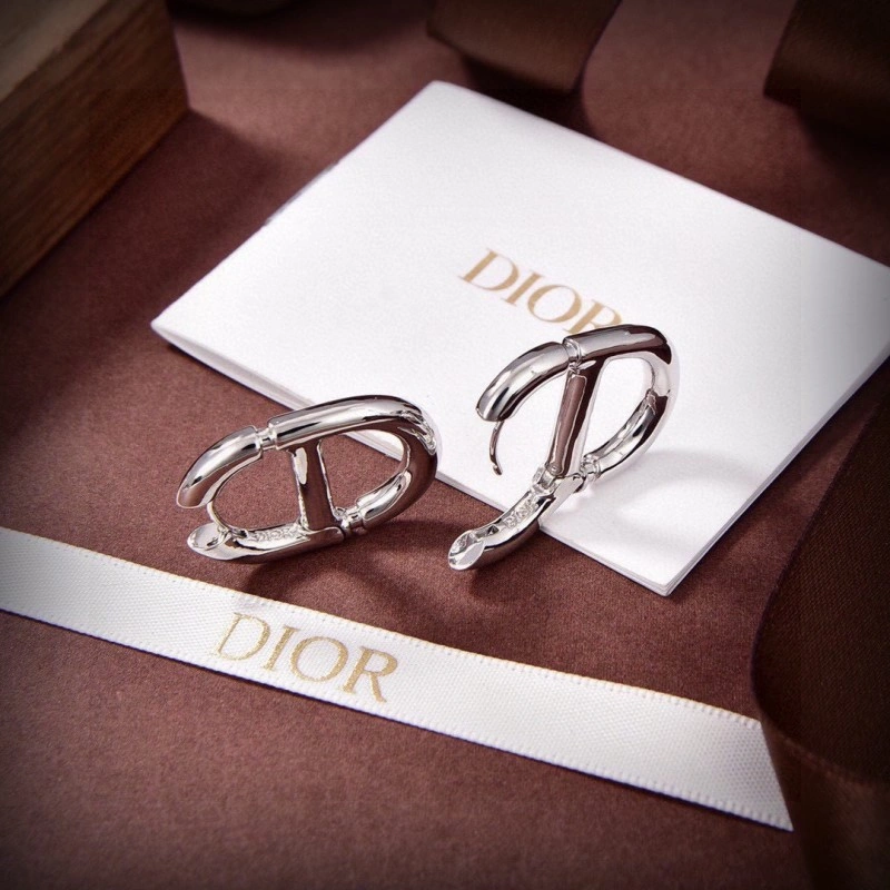 Comfortable Christian Dior Earrings 232733
