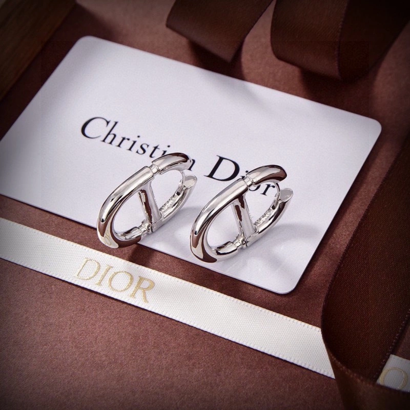 Comfortable Christian Dior Earrings 232733