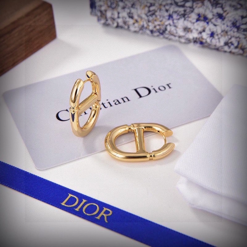 Comfortable Christian Dior Earrings 232733