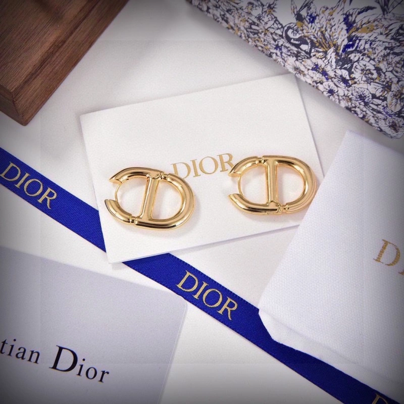 Comfortable Christian Dior Earrings 232733