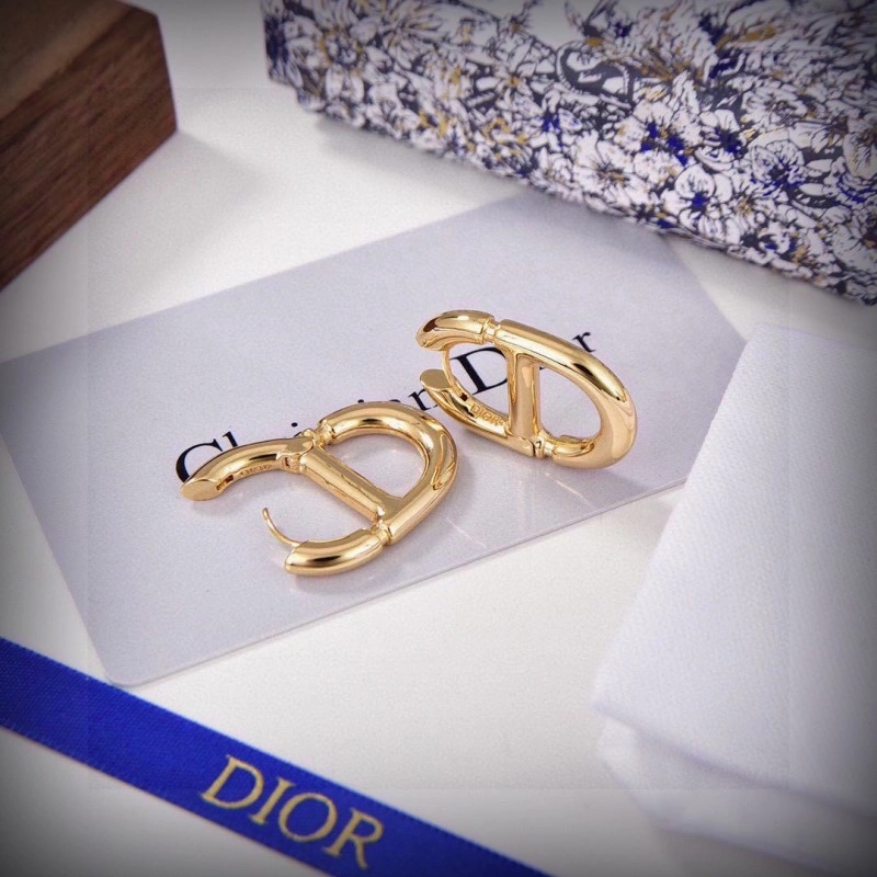 Comfortable Christian Dior Earrings 232733
