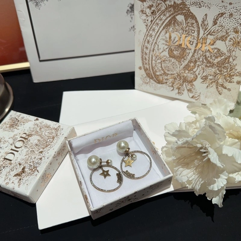 Affordable Christian Dior Earrings 232746
