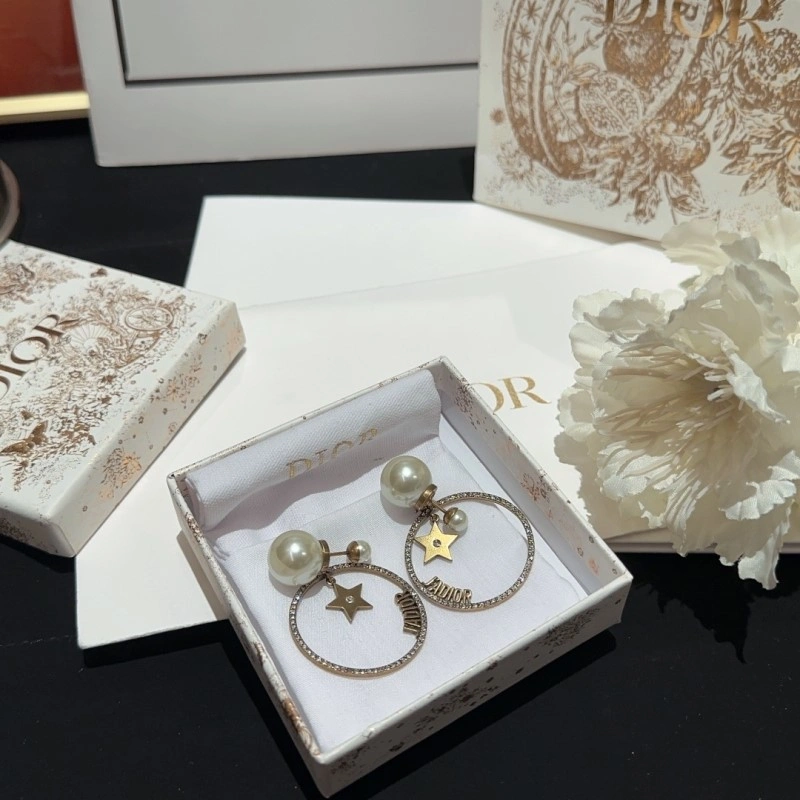 Affordable Christian Dior Earrings 232746