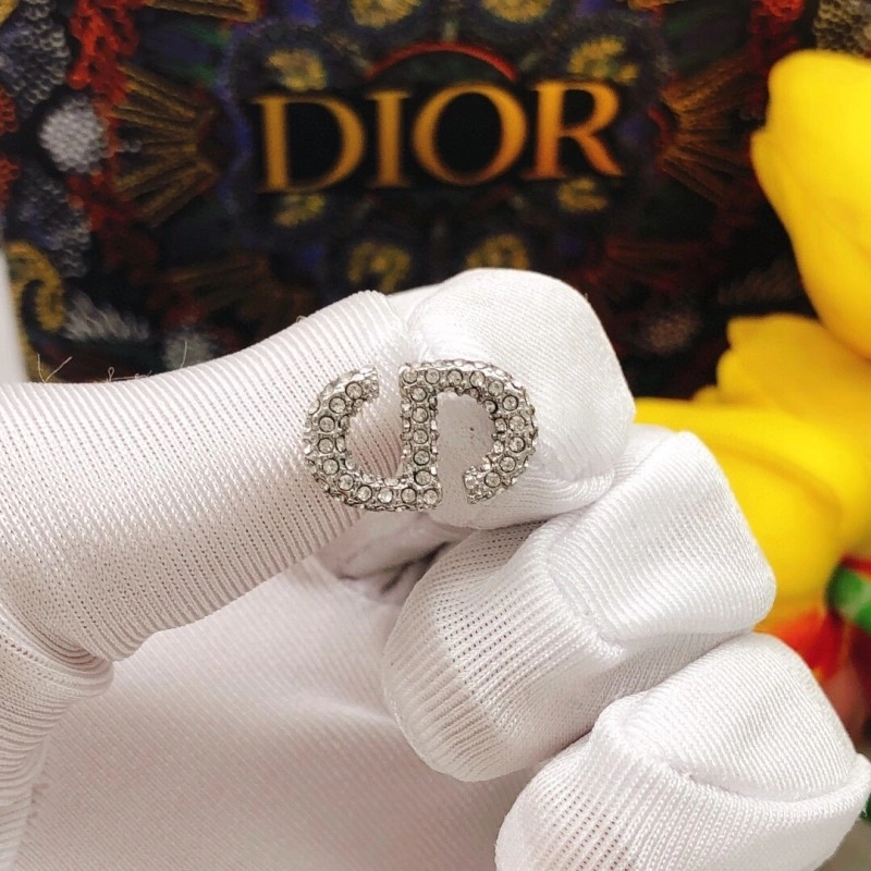 Tailored Christian Dior Earrings 232758