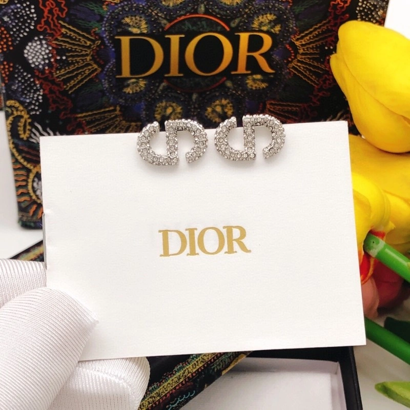 Tailored Christian Dior Earrings 232758