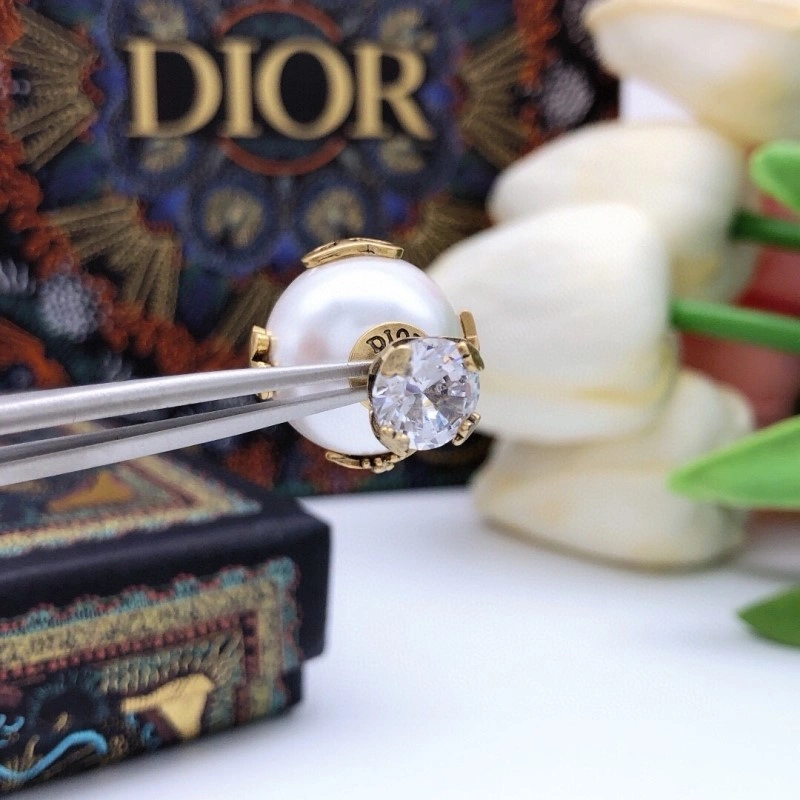 Modern Christian Dior Earrings 232720