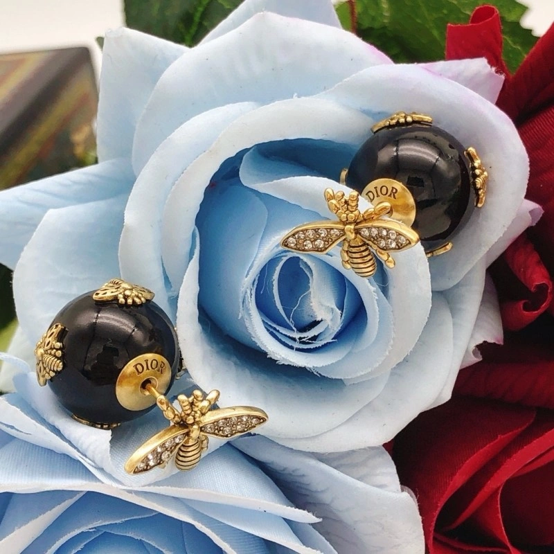 Affordable Christian Dior Earrings 232713