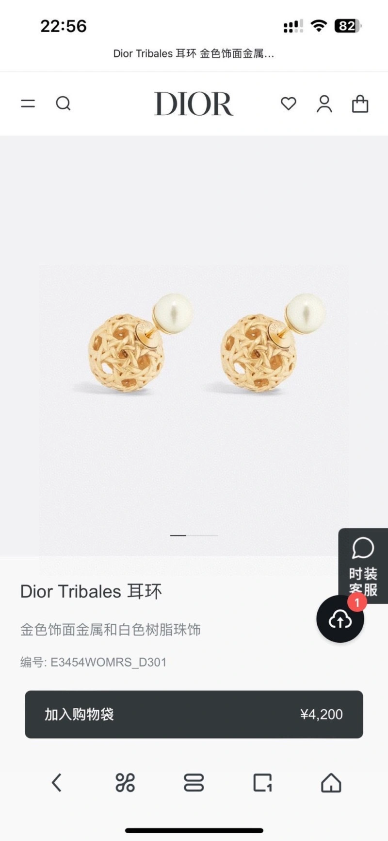 Christian Dior Earrings Colorful 232707