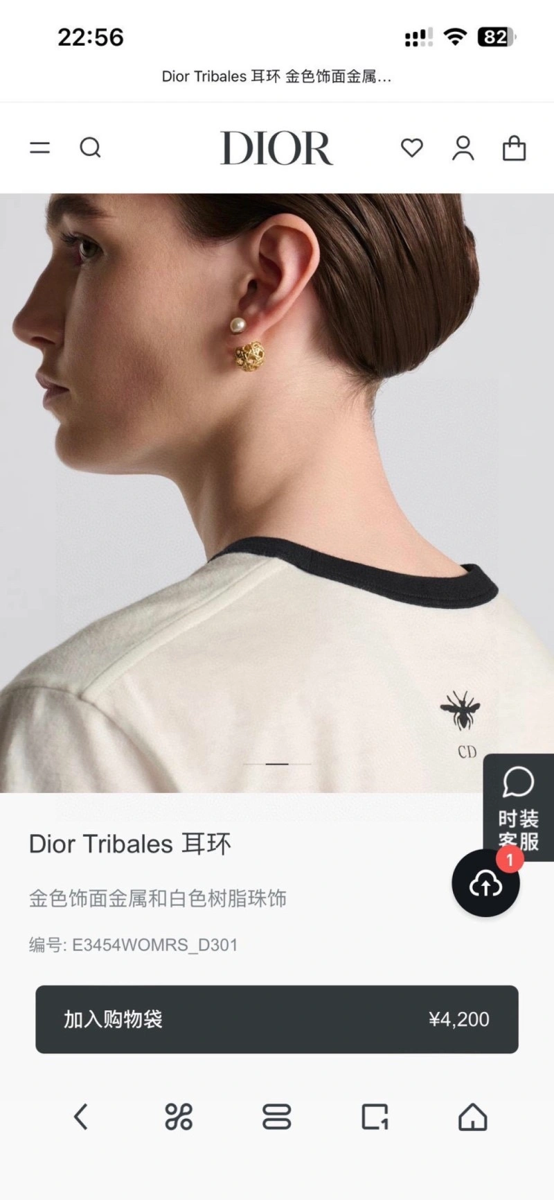 Christian Dior Earrings Colorful 232707