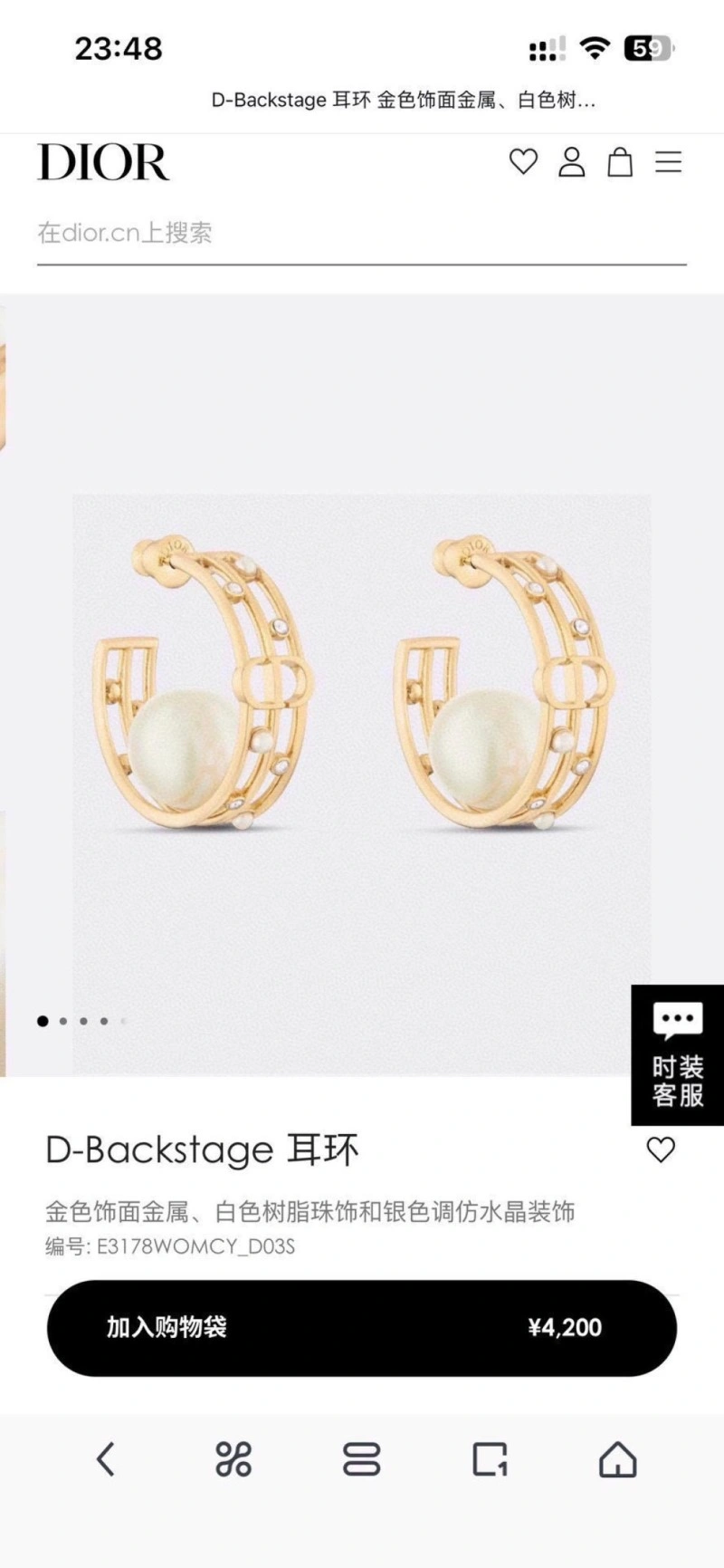 Colorful Christian Dior Earrings 232722