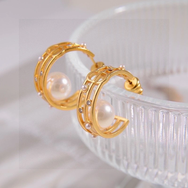 Colorful Christian Dior Earrings 232722