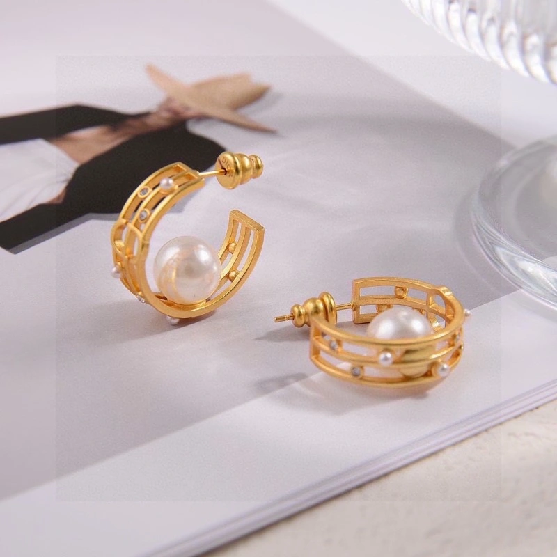 Colorful Christian Dior Earrings 232722