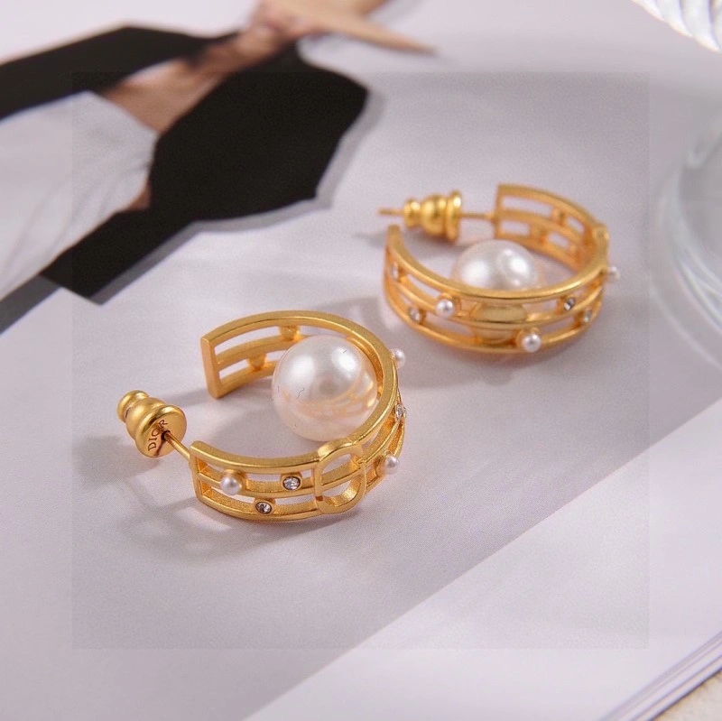 Colorful Christian Dior Earrings 232722