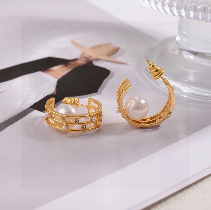 Colorful Christian Dior Earrings 232722