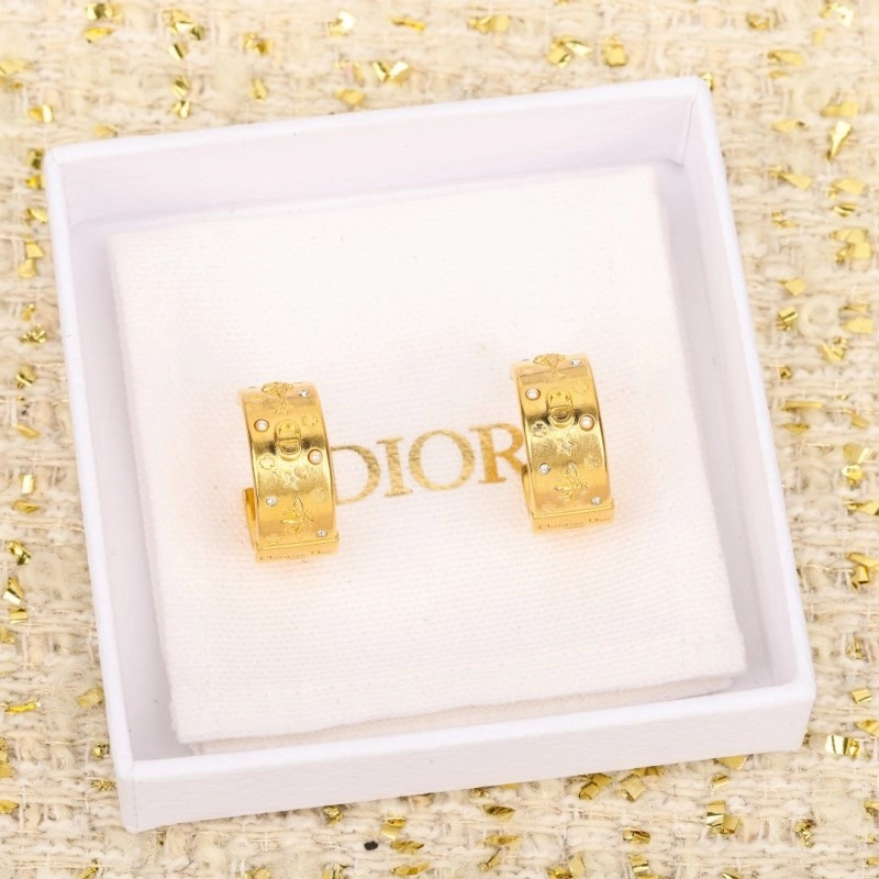 Christian Dior Earrings Durable 232725
