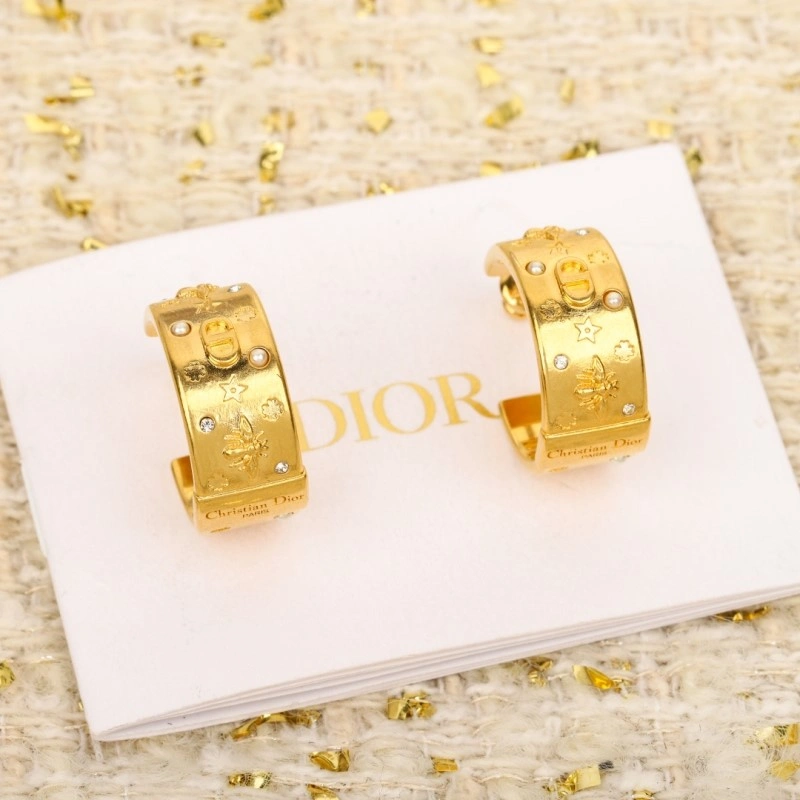 Christian Dior Earrings Durable 232725