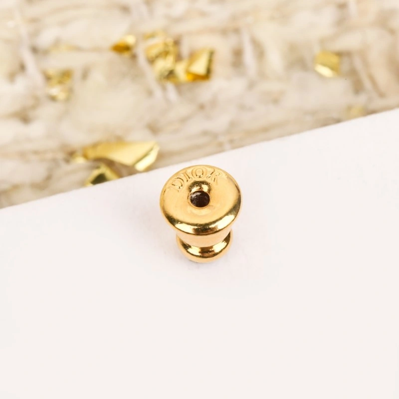 Christian Dior Earrings Durable 232725