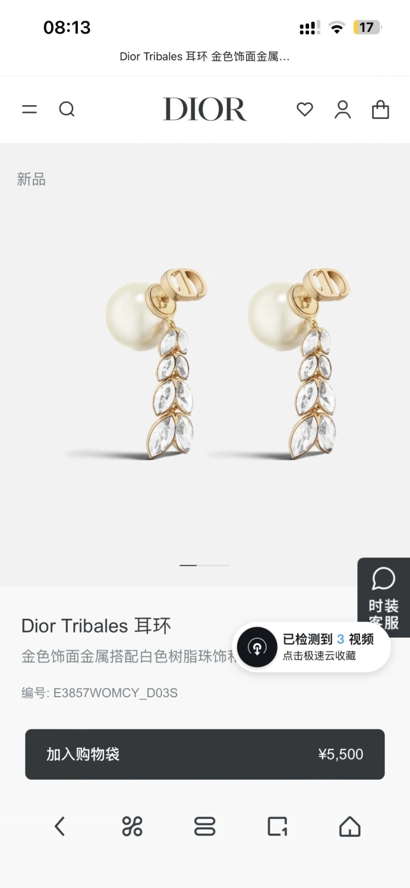Christian Dior Earrings Packable 232748