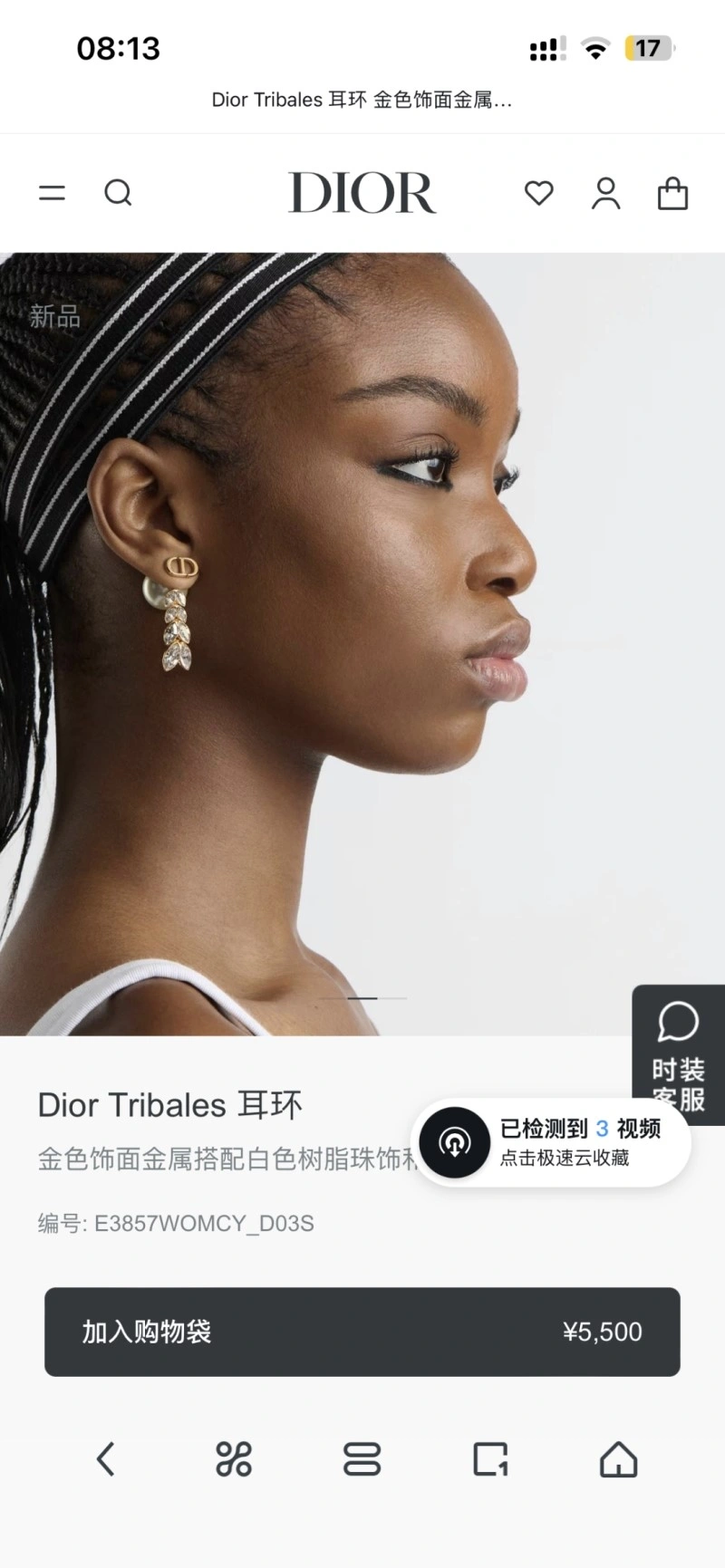 Christian Dior Earrings Packable 232748