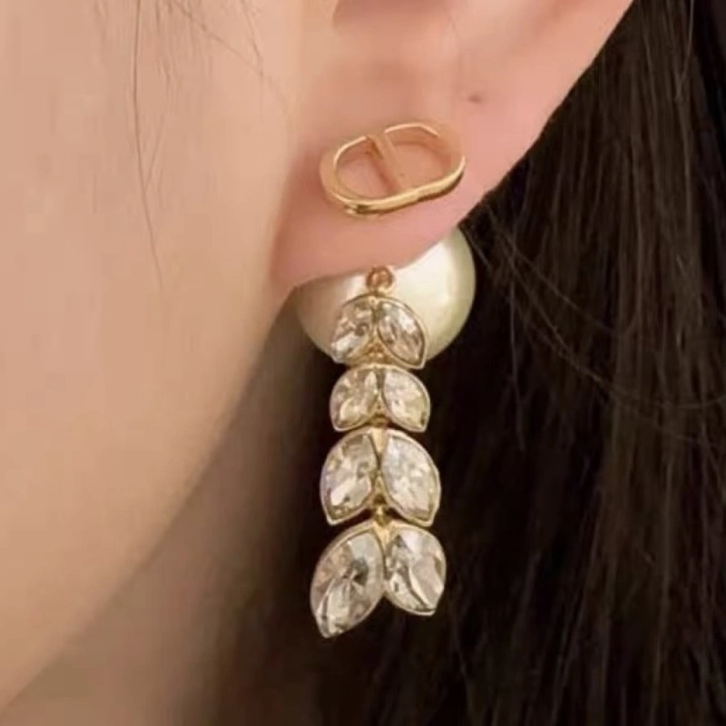 Christian Dior Earrings Packable 232748