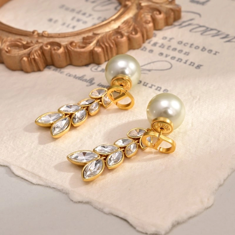 Christian Dior Earrings Packable 232748