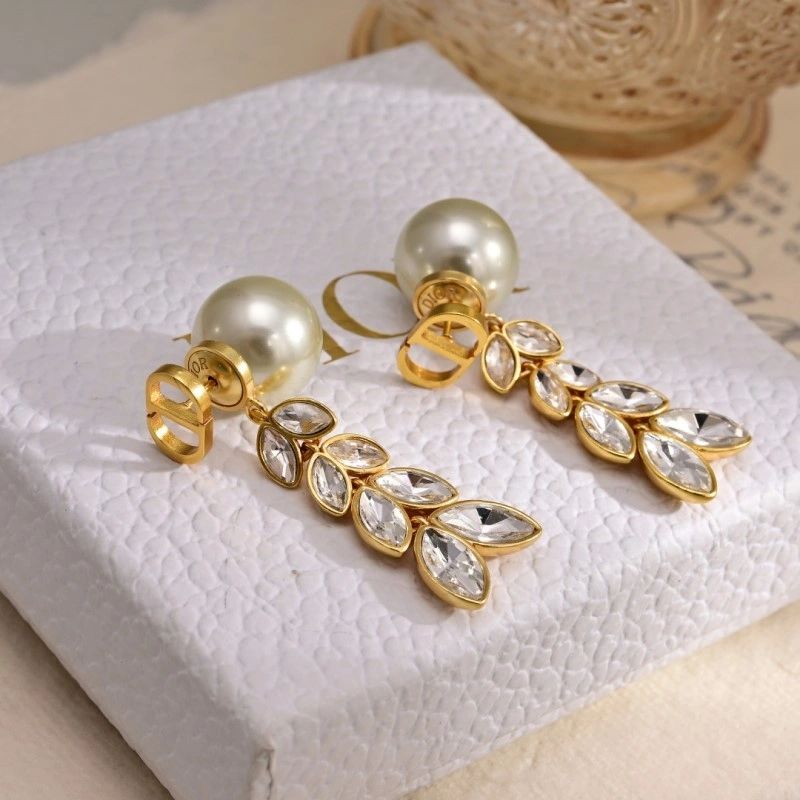 Christian Dior Earrings Packable 232748