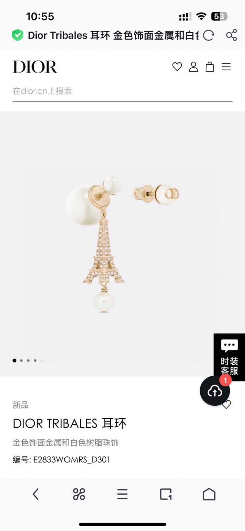 FastDry Christian Dior Earrings 232698
