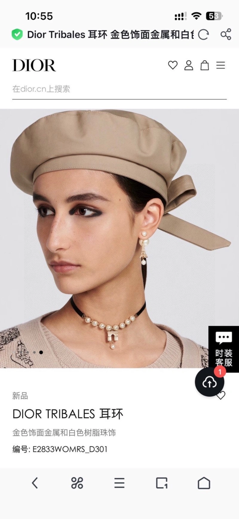 FastDry Christian Dior Earrings 232698