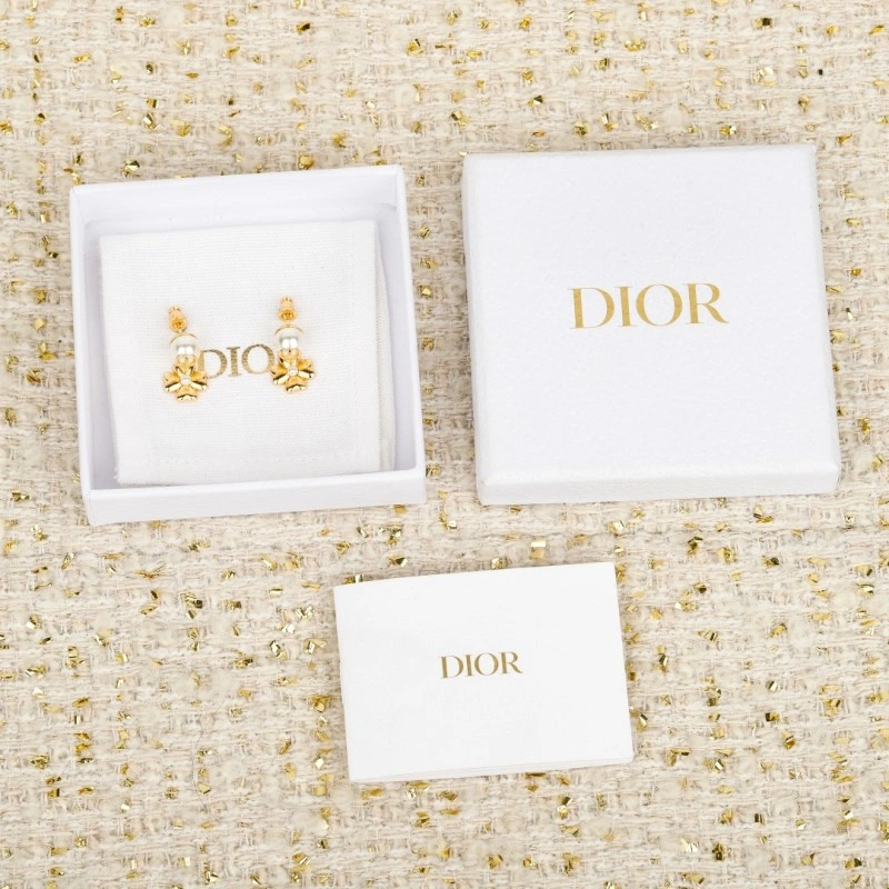 Durable Christian Dior Earrings 232693
