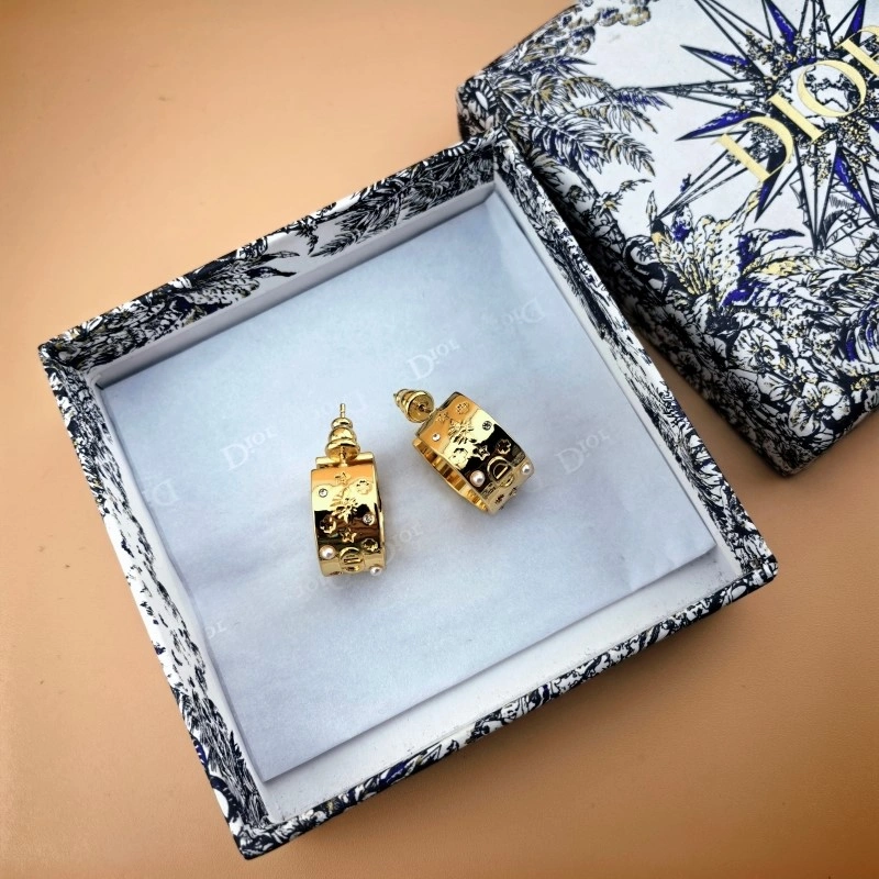 Functional Christian Dior Earrings 232679