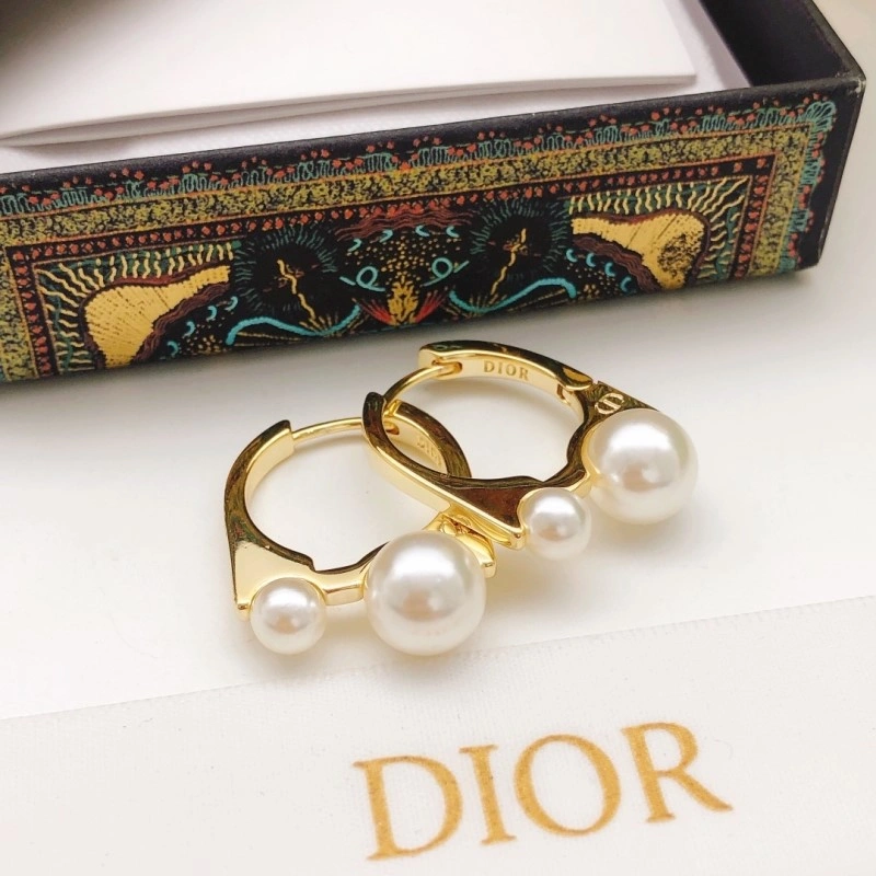 Durable Christian Dior Earrings 232692