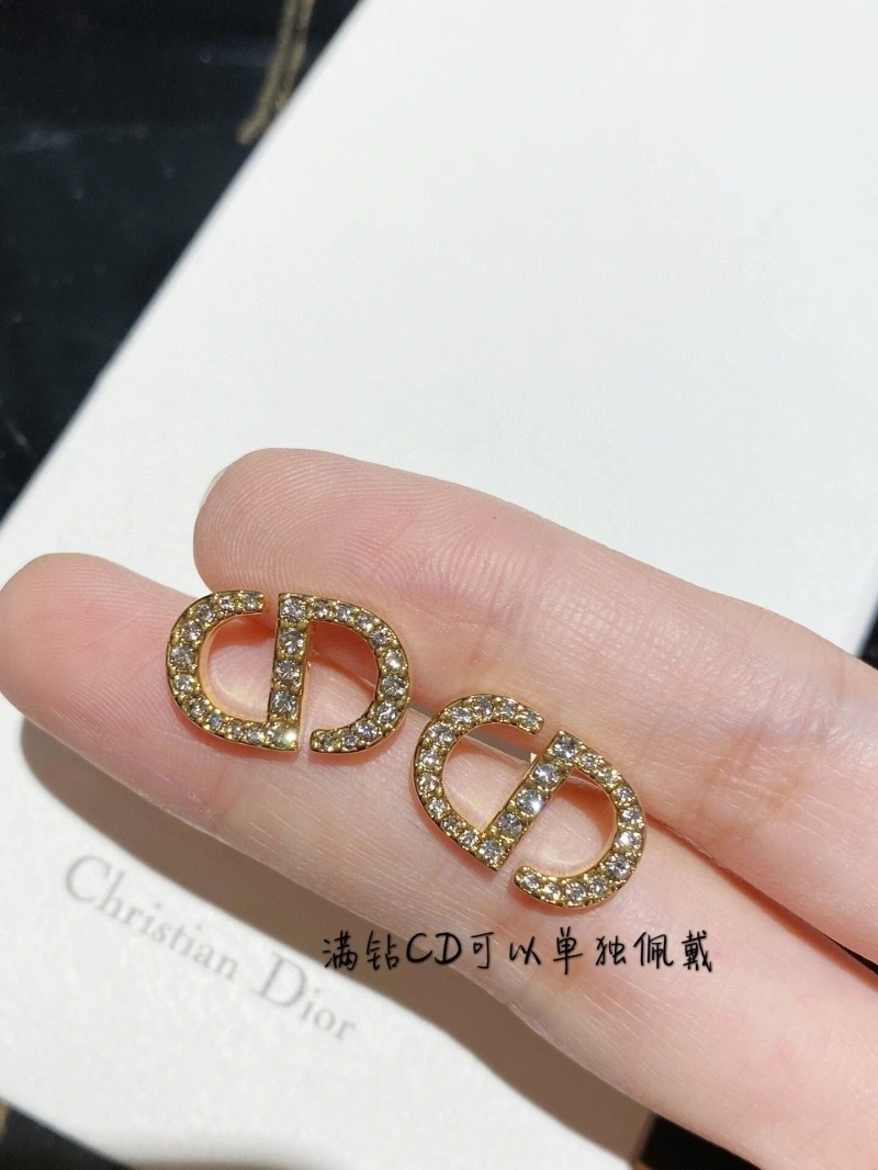 Youthful Christian Dior Earrings 232714