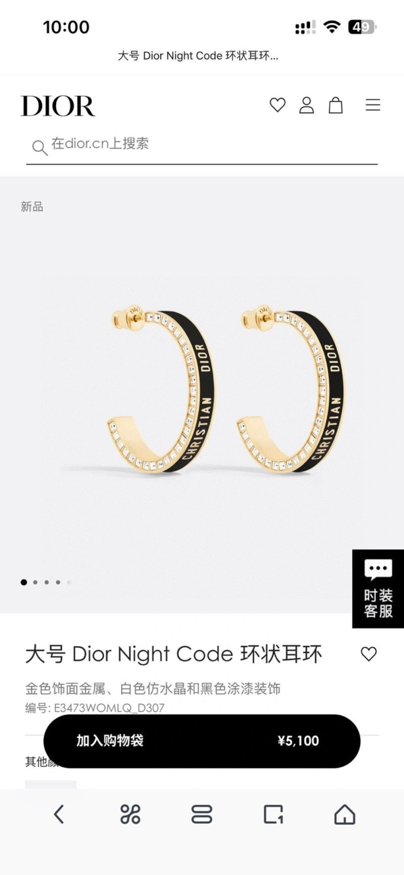 Classic Christian Dior Earrings 232703