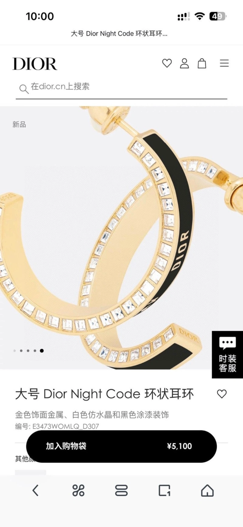 Classic Christian Dior Earrings 232703