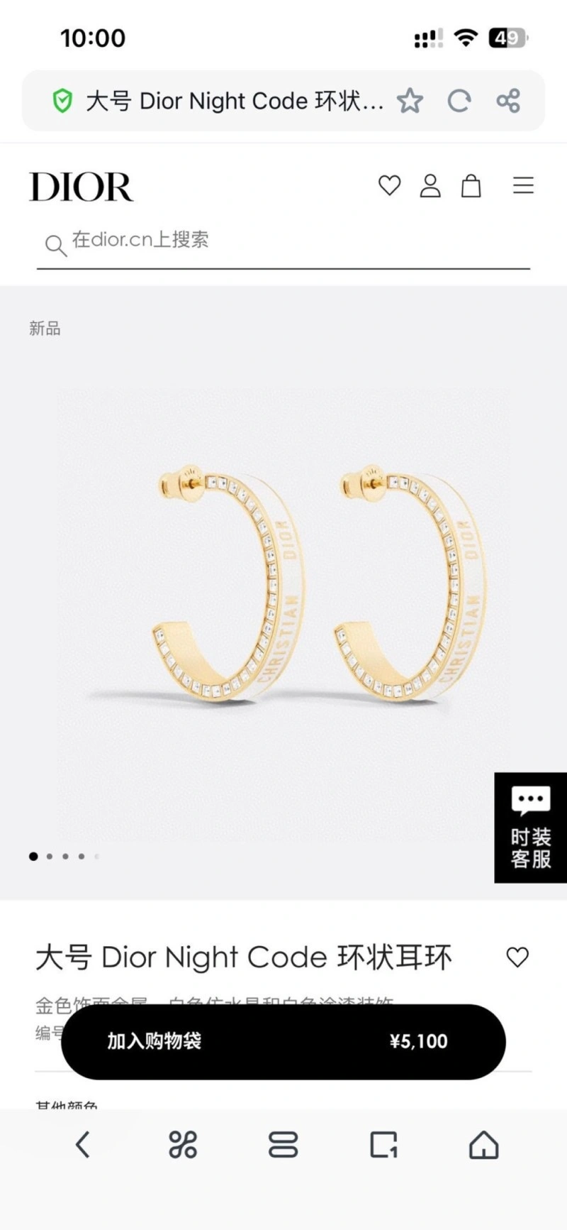 Classic Christian Dior Earrings 232703