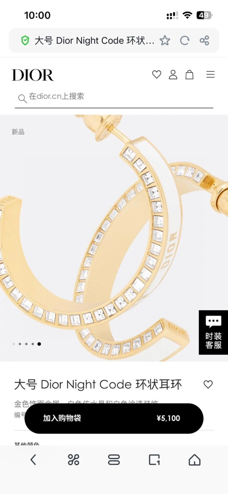 Classic Christian Dior Earrings 232703